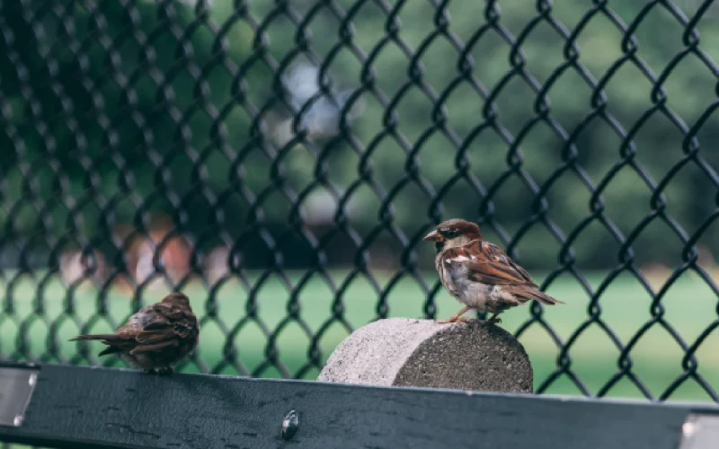 anti bird safety nets in hyderabad